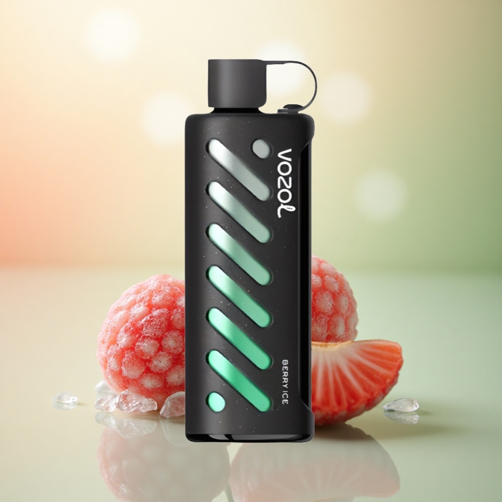 VOZOL Gear Shisha 25000 Puffs Bär Is 1000mAh Dual Mesh