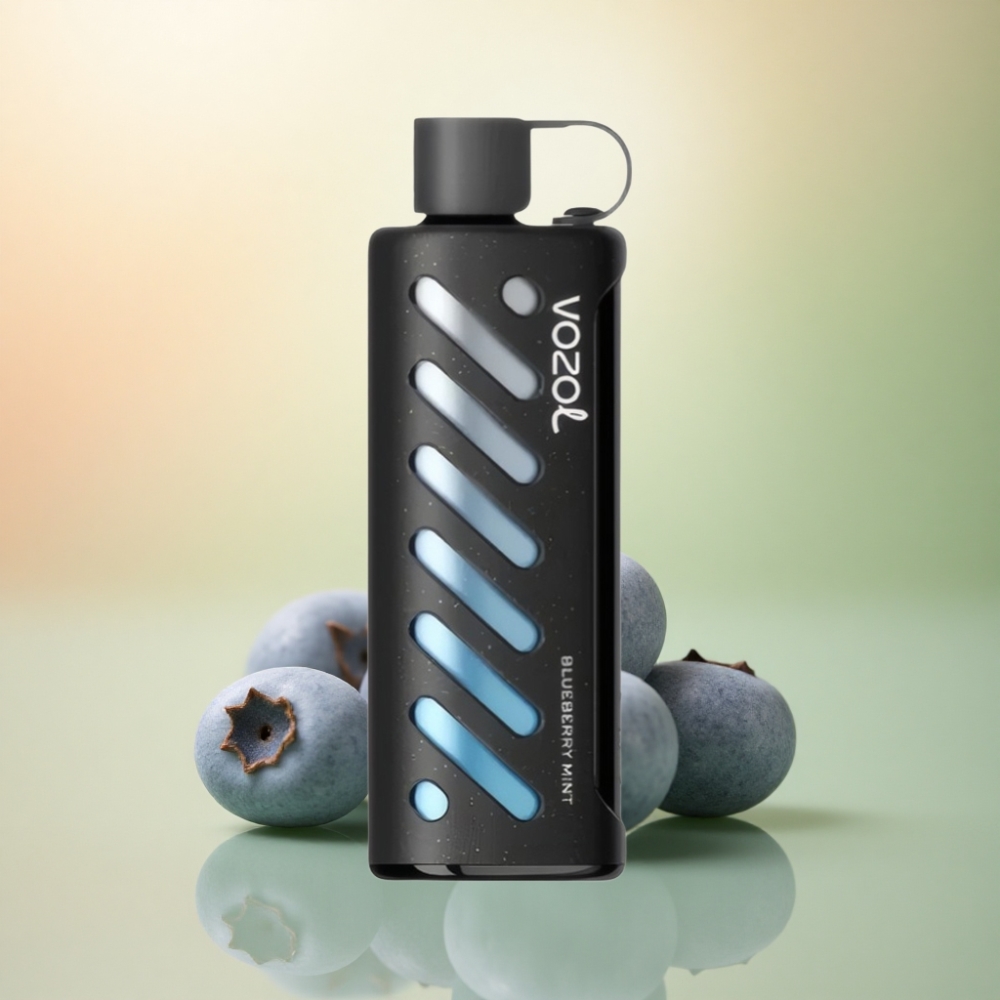 VOZOL Gear Shisha 25000 Puffs Blåbärsmynta med Dual Mesh och 1000mAh
