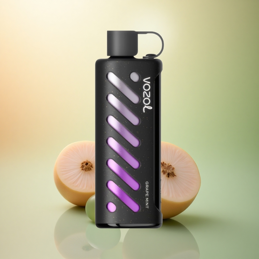 VOZOL Gear Shisha 25000 Puffs Vinmynt Dual Mesh 1000mAh