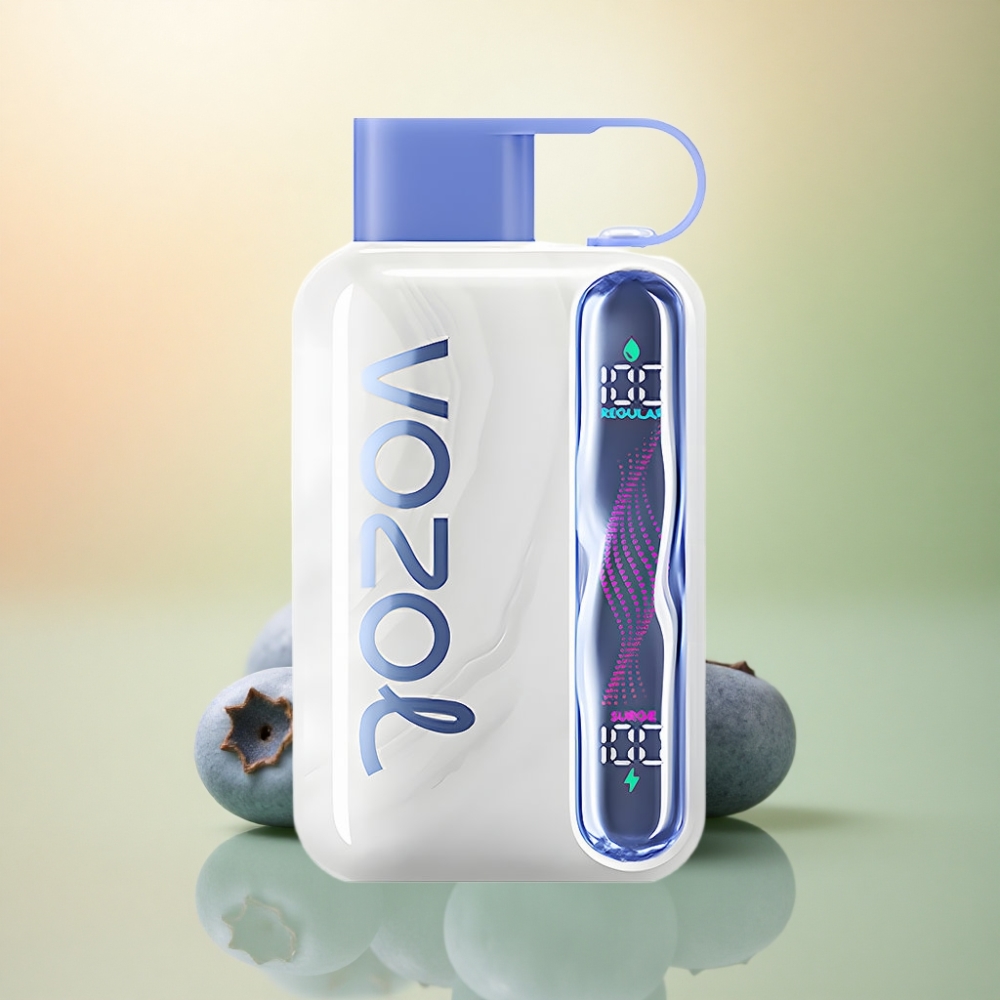 VOZOL STAR 40000 Puffs Blåbärsmynta 1000mAh 20mg nikotin