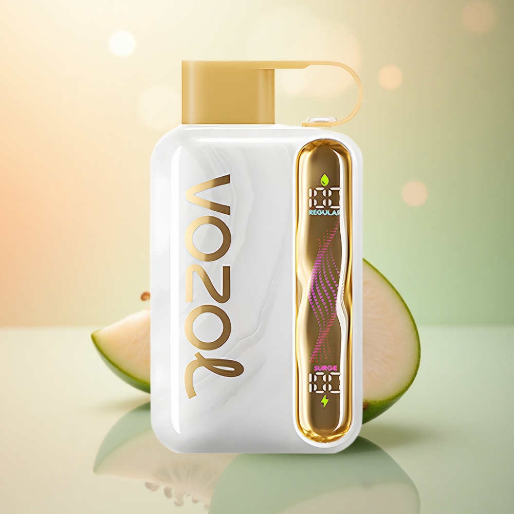 VOZOL STAR 40000 Puffs Melonis 1000mAh 20/50mg/ml Nikotin