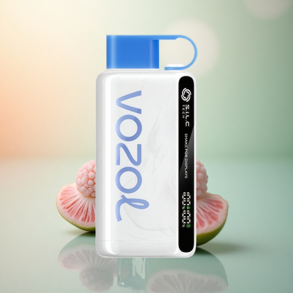 VOZOL STAR 9000/12000 Puffs Blå Hallon Is med 650mAh och 20mg nikotin