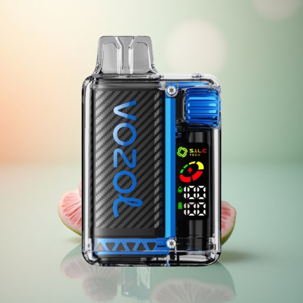 VOZOL Vista 20000 Puffs Blå Hallon Is med 650mAh och Dual Mesh Coil