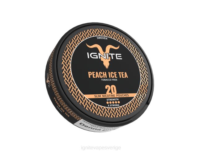 IGNITE nikotinpåsar blandade bär 080F171 | Ignite Vape Sverige