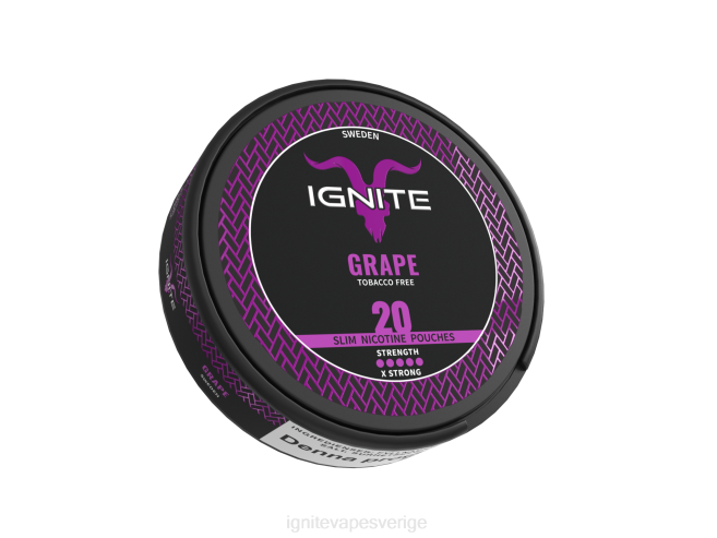 IGNITE nikotinpåsar blandade bär 080F171 | Ignite Vape Sverige