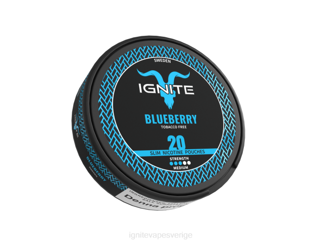 IGNITE nikotinpåsar blandade bär 080F171 | Ignite Vape Sverige