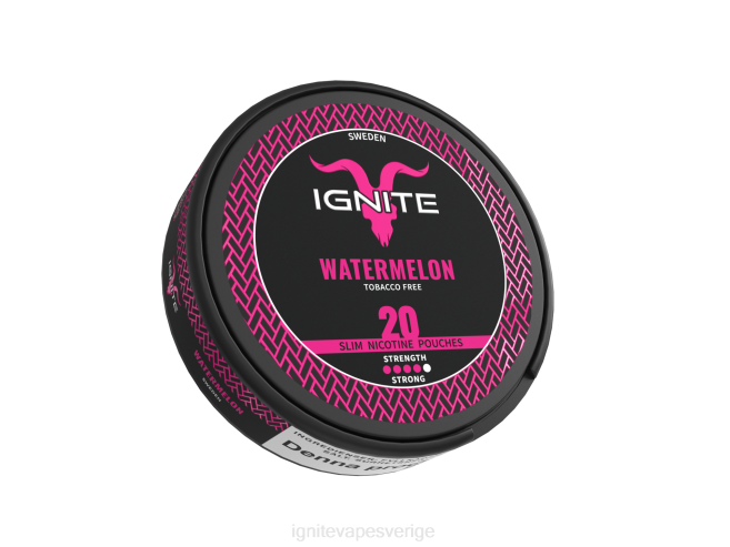 IGNITE nikotinpåsar blandade bär 080F171 | Ignite Vape Sverige