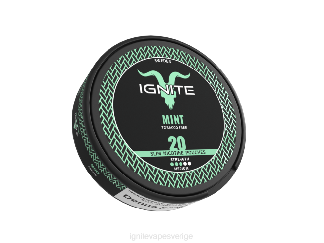 IGNITE nikotinpåsar blandade bär 080F171 | Ignite Vape Sverige
