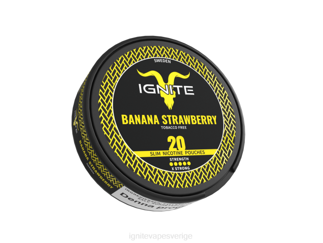 IGNITE nikotinpåsar blandade bär 080F171 | Ignite Vape Sverige