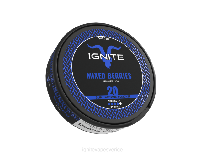 IGNITE nikotinpåsar mocka 080F175 | Ignite Vape Price