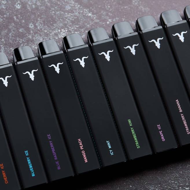 IGNITE V15 vape penna blåbärsis 080F108 | Ignite Flavours